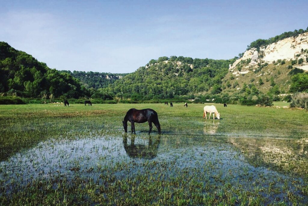 Barranc de Son Boter y Prat de Son Bou (Foto: Camí de Cavalls 360º).